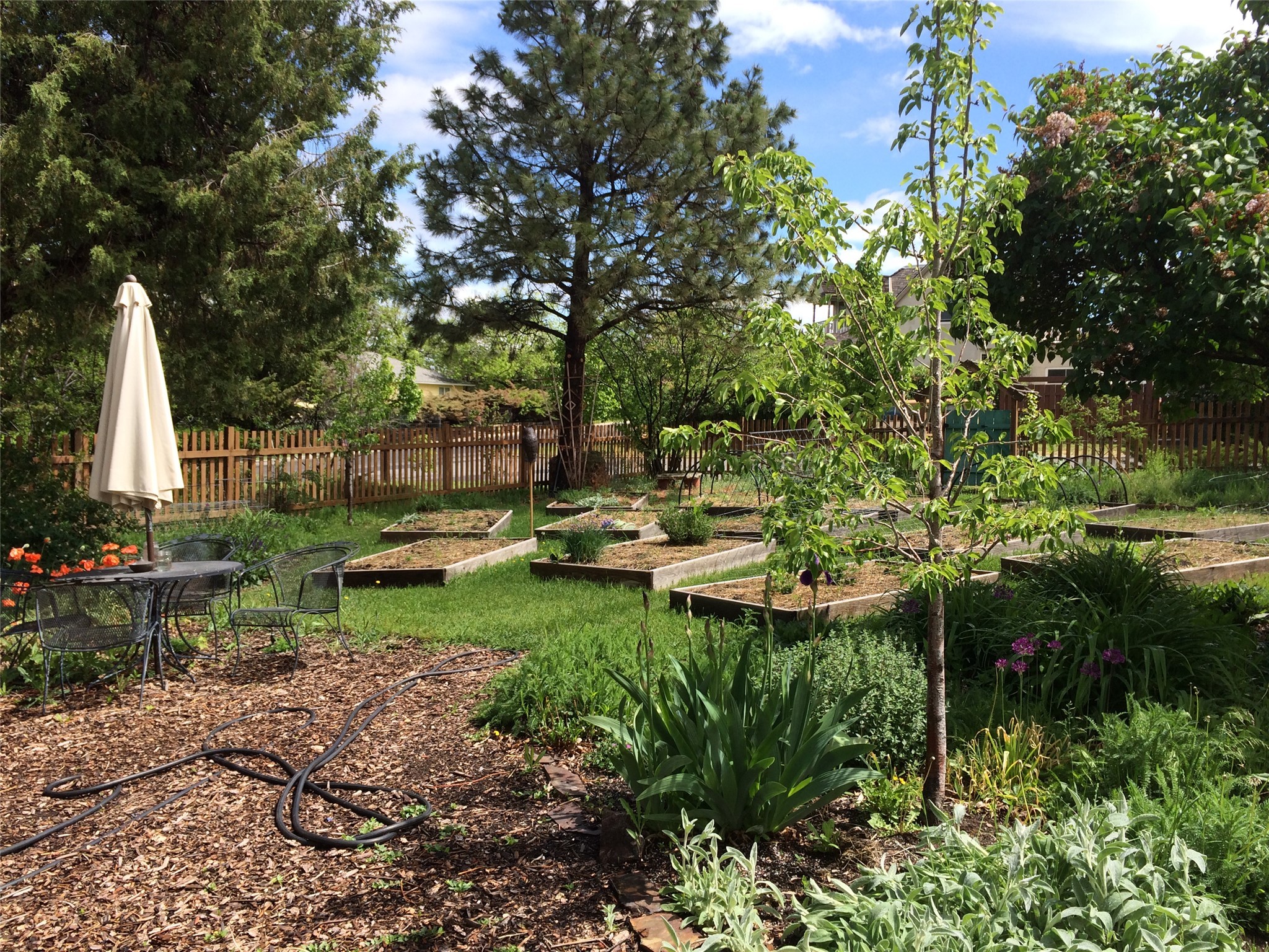 Helena, Montana 59601, United States, 4 Bedrooms Bedrooms, ,3 BathroomsBathrooms,Residential,Pending,26343