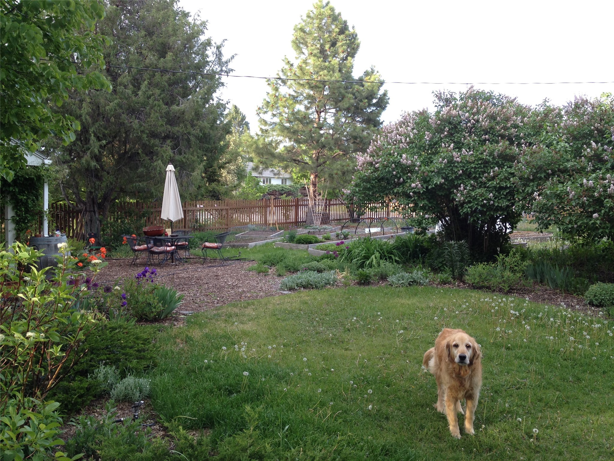 Helena, Montana 59601, United States, 4 Bedrooms Bedrooms, ,3 BathroomsBathrooms,Residential,Pending,26343