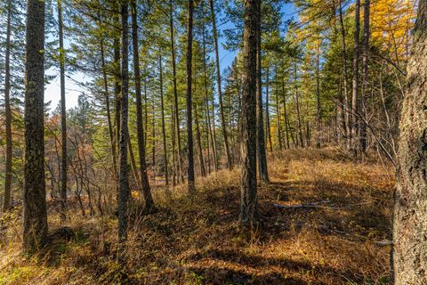 Tiny photo for 150 Peters Creek Way, Kalispell, MT 59901 (MLS # 30056884)