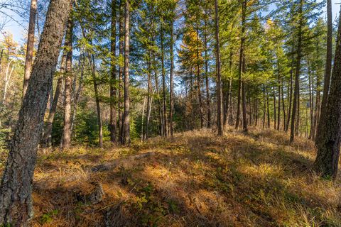 Tiny photo for 150 Peters Creek Way, Kalispell, MT 59901 (MLS # 30056884)