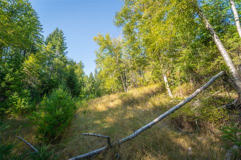 Tiny photo for 150 Peters Creek Way, Kalispell, MT 59901 (MLS # 30056884)