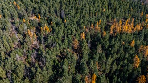Tiny photo for 150 Peters Creek Way, Kalispell, MT 59901 (MLS # 30056884)