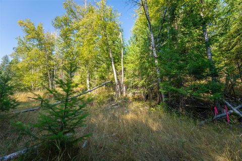 Tiny photo for 150 Peters Creek Way, Kalispell, MT 59901 (MLS # 30056884)
