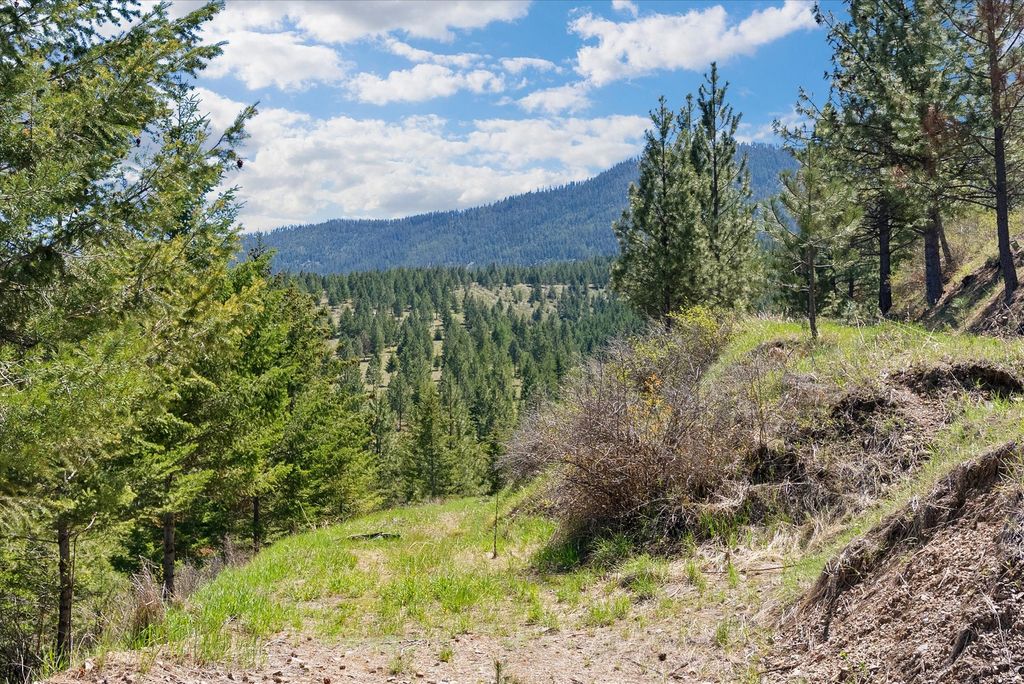 Photo of 5016 Arnica Road, Missoula, MT 59803 (MLS # 30067819)