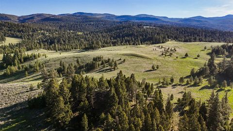 Tiny photo for TBD Indian Creek Road, Helmville, MT 59843 (MLS # 30071037)