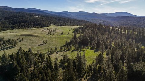 Tiny photo for TBD Indian Creek Road, Helmville, MT 59843 (MLS # 30071037)