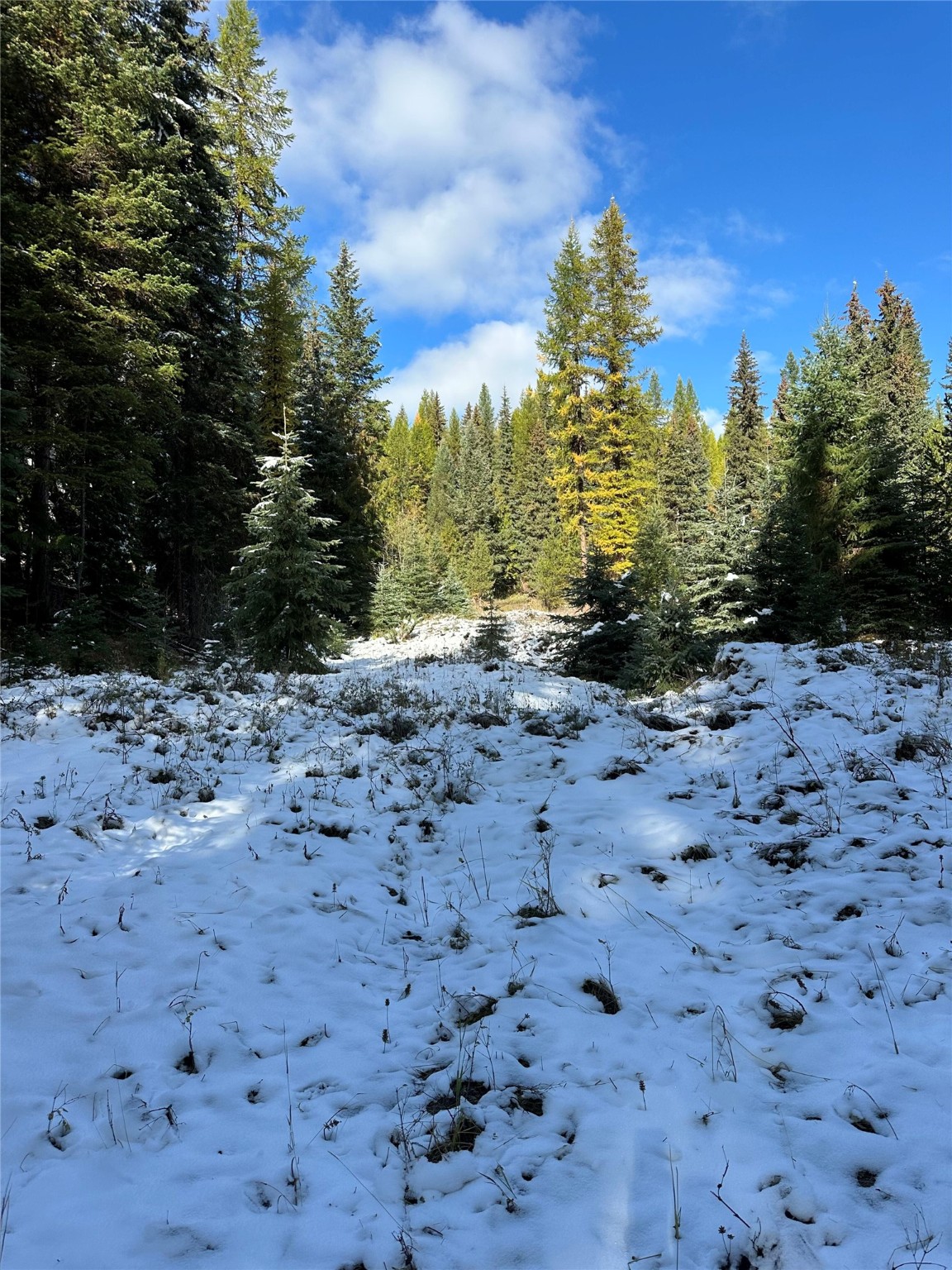 238 Cedar Hills Lane