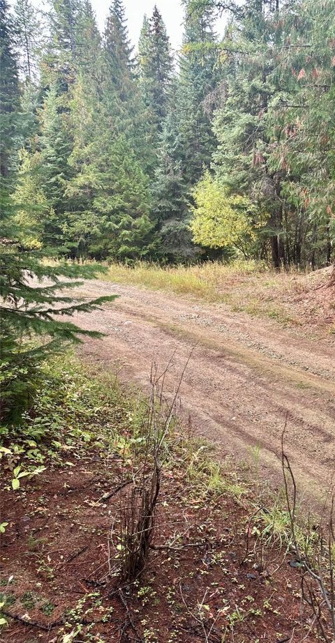 238 Cedar Hills Lane Trego MT 59917