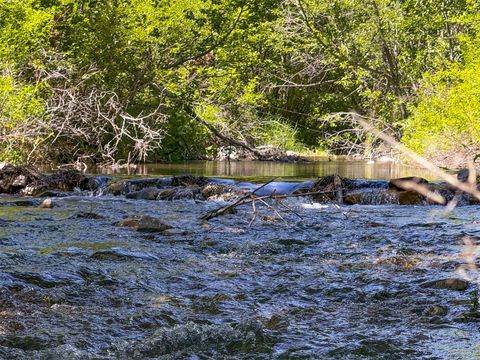 Tiny photo for 2623 Little Wolf Creek Road, Wolf Creek, MT 59648 (MLS # 30073071)