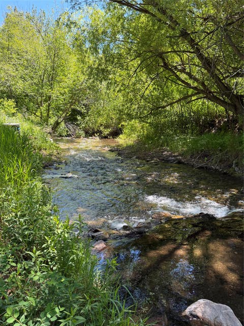 Tiny photo for 2623 Little Wolf Creek Road, Wolf Creek, MT 59648 (MLS # 30073071)
