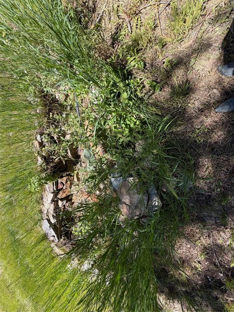 Tiny photo for 2623 Little Wolf Creek Road, Wolf Creek, MT 59648 (MLS # 30073071)