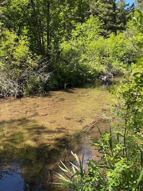 Tiny photo for 2623 Little Wolf Creek Road, Wolf Creek, MT 59648 (MLS # 30073071)