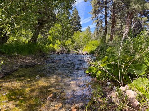 Tiny photo for 2623 Little Wolf Creek Road, Wolf Creek, MT 59648 (MLS # 30073071)