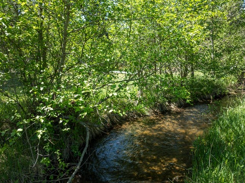 Tiny photo for TBD Clancy Creek Road #A4, Clancy, MT 59634 (MLS # 30072564)