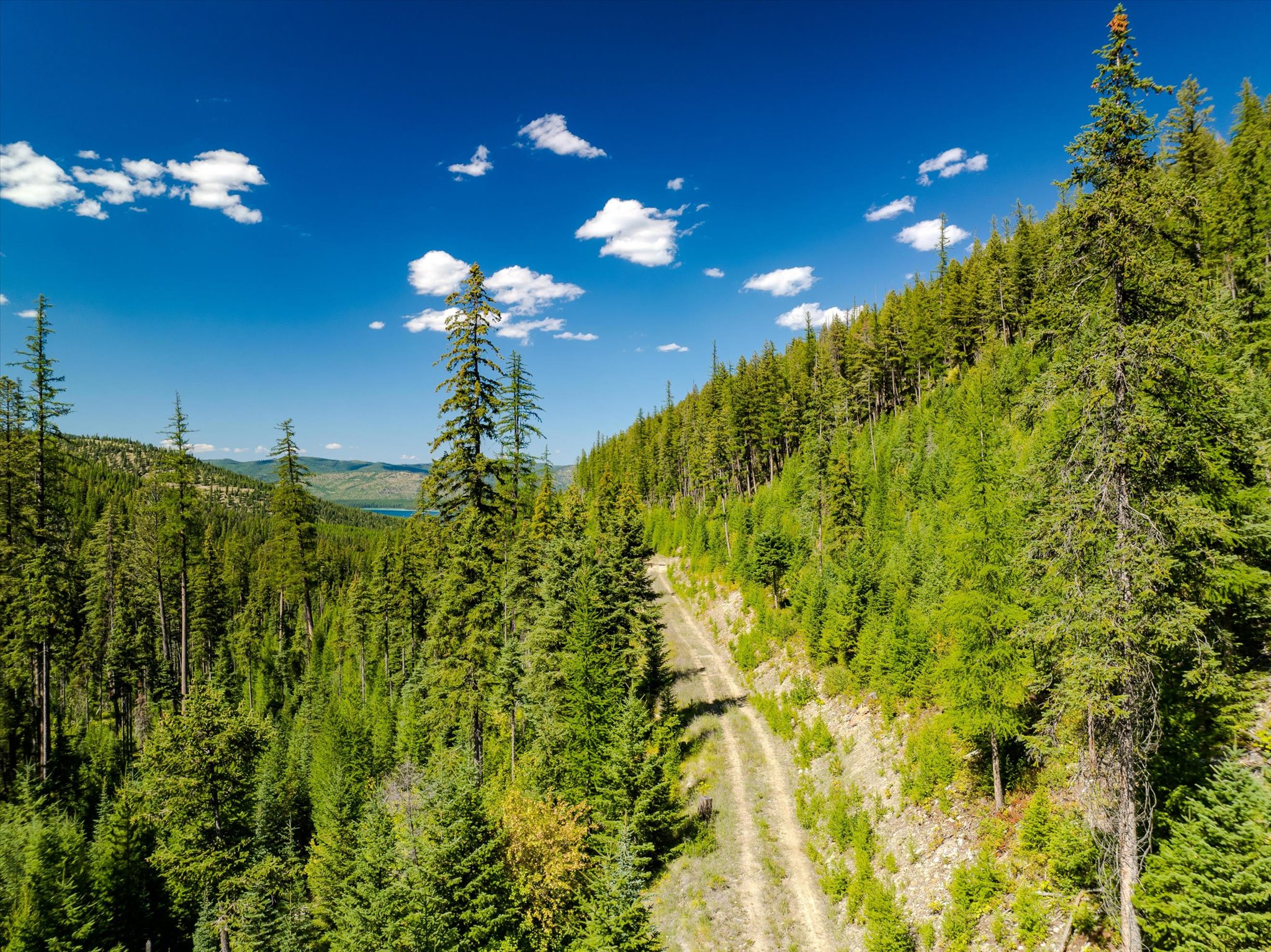 Nhn Ashley Lake Road