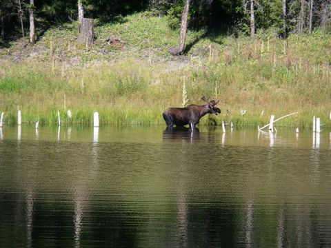 Tiny photo for 746 Evergreen Drive, Eureka, MT 59917 (MLS # 30069070)