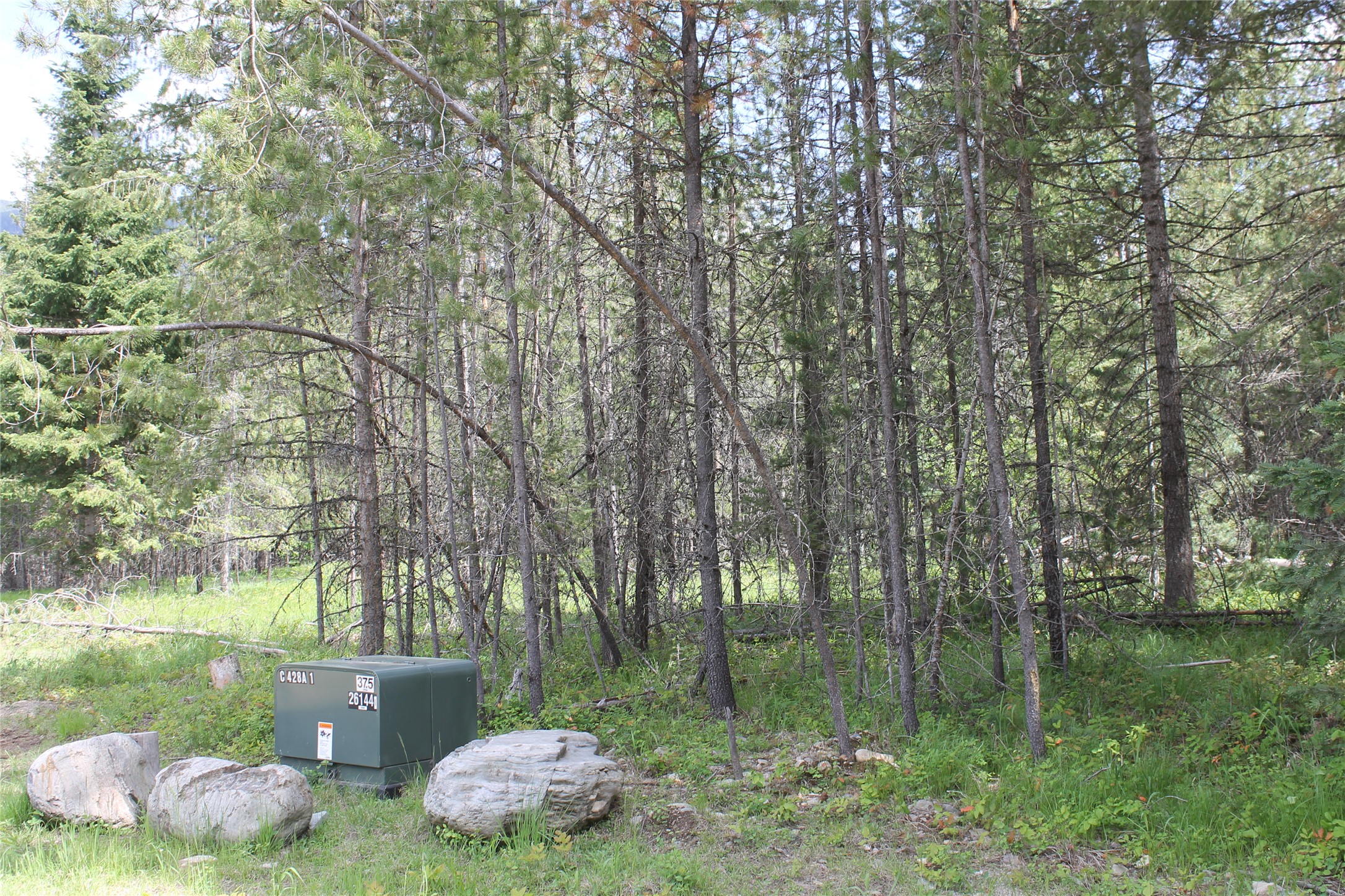 2773 Mt Highway 200