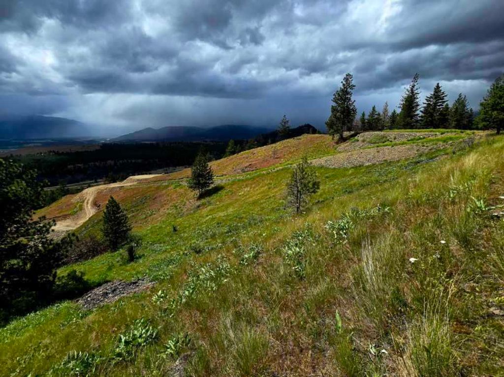 Photo of Lot 5 Diamond S Ranch, Plains, MT 59859 (MLS # 30068812)