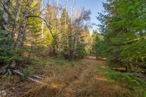 Tiny photo for 150 & 156 Peters Creek Way, Kalispell, MT 59901 (MLS # 30057061)