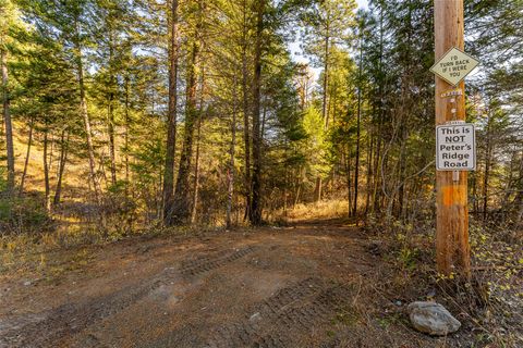 Tiny photo for 150 & 156 Peters Creek Way, Kalispell, MT 59901 (MLS # 30057061)