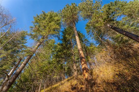 Tiny photo for 150 & 156 Peters Creek Way, Kalispell, MT 59901 (MLS # 30057061)