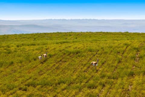 Tiny photo for Lot 4 McGimpsey Road, Denton, MT 59430 (MLS # 30057538)
