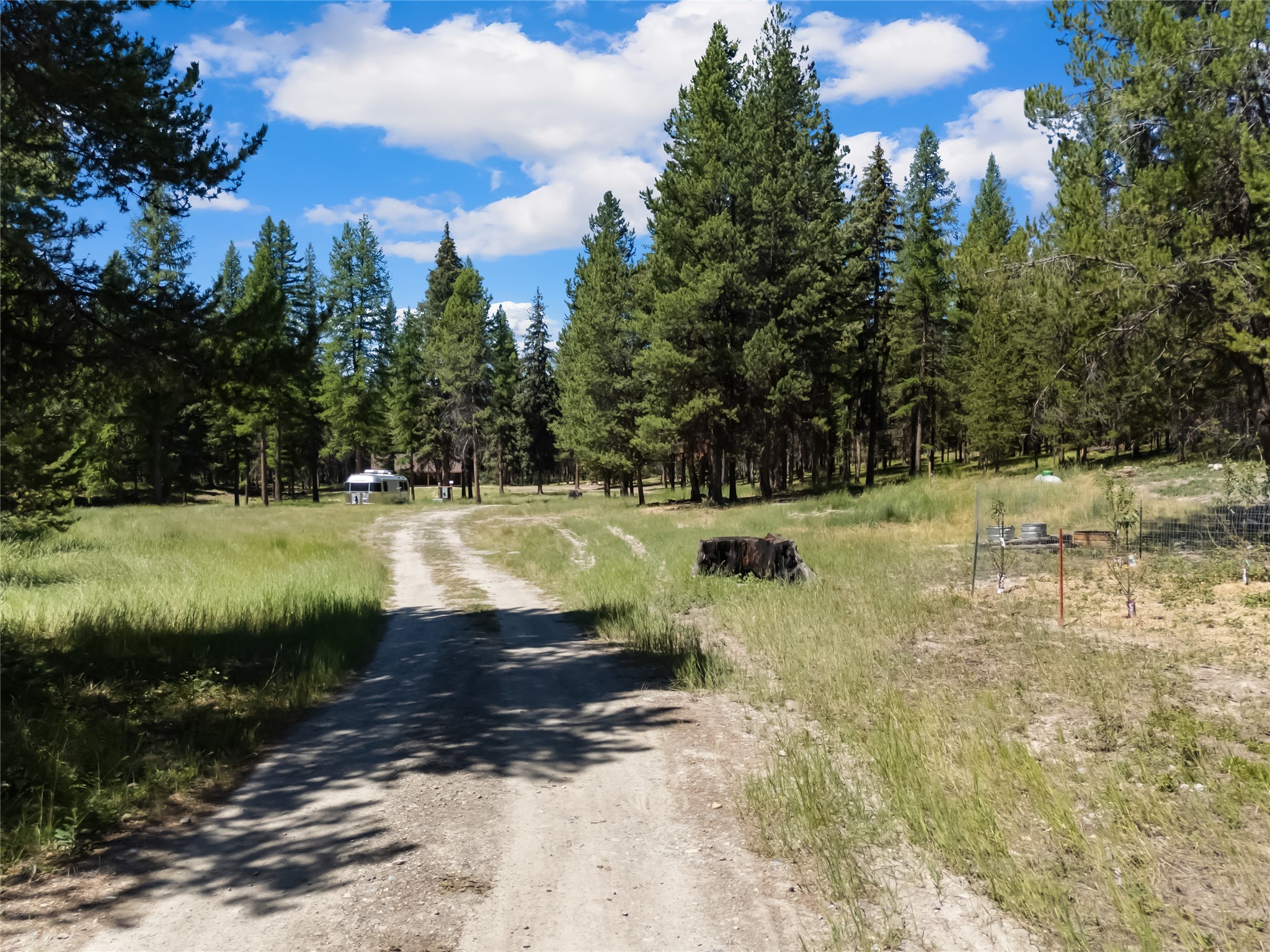 Marion, Montana 59925, United States, 2 Bedrooms Bedrooms, ,2 BathroomsBathrooms,Residential,Active,183133