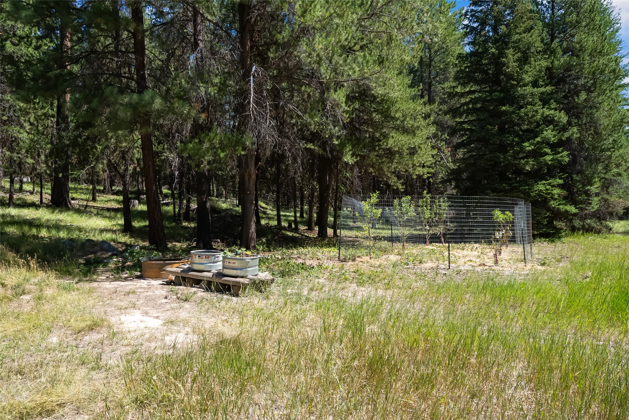 Marion, Montana 59925, United States, 2 Bedrooms Bedrooms, ,2 BathroomsBathrooms,Residential,Active,183133