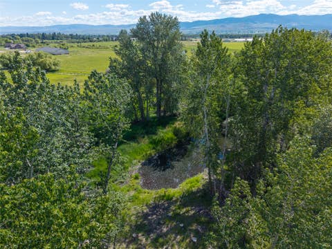 Tiny photo for 385 Sheafman Creek Road, Victor, MT 59875 (MLS # 30073109)