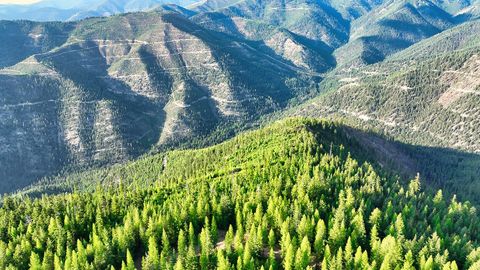 Tiny photo for Nhn Lolo Forestlands, Alberton, MT 59820 (MLS # 30073212)