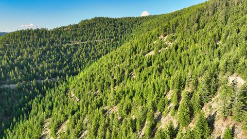 Tiny photo for Nhn Lolo Forestlands, Alberton, MT 59820 (MLS # 30073212)