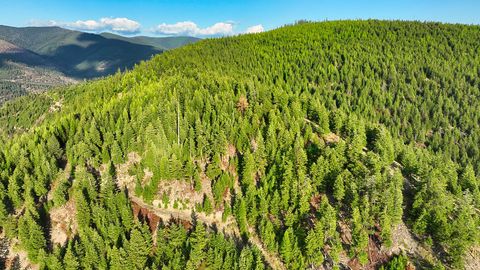 Tiny photo for Nhn Lolo Forestlands, Alberton, MT 59820 (MLS # 30073212)