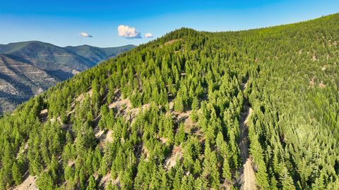 Tiny photo for Nhn Lolo Forestlands, Alberton, MT 59820 (MLS # 30073212)