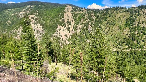 Tiny photo for Nhn Lolo Forestlands, Alberton, MT 59820 (MLS # 30073212)