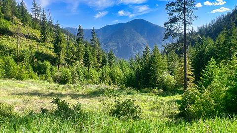 Tiny photo for Nhn Lolo Forestlands, Alberton, MT 59820 (MLS # 30073212)