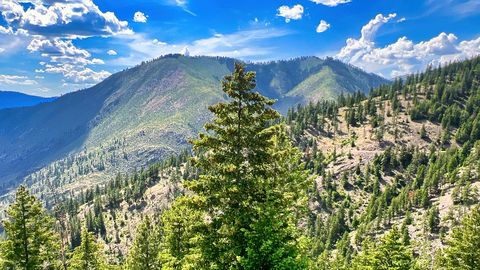 Tiny photo for Nhn Lolo Forestlands, Alberton, MT 59820 (MLS # 30073212)