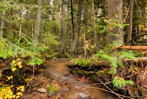 Tiny photo for Nhn Lolo Forestlands, Alberton, MT 59820 (MLS # 30073212)
