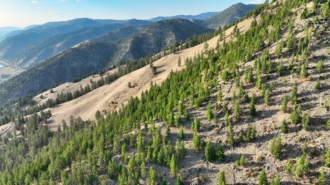 Tiny photo for Nhn Lolo Forestlands, Alberton, MT 59820 (MLS # 30073212)