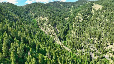 Tiny photo for Nhn Lolo Forestlands, Alberton, MT 59820 (MLS # 30073212)