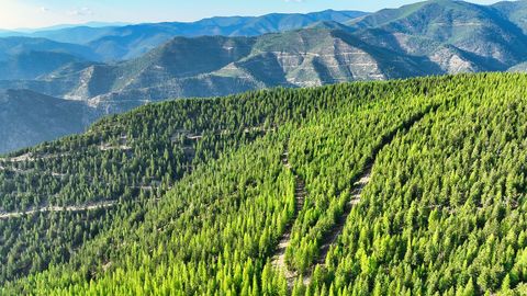 Tiny photo for Nhn Lolo Forestlands, Alberton, MT 59820 (MLS # 30073212)