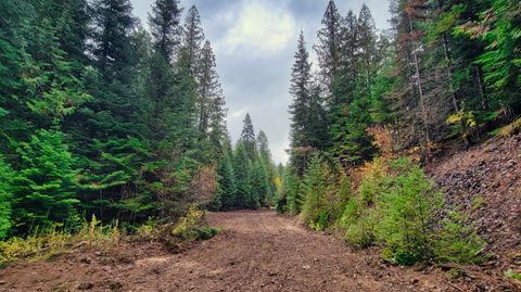 Tiny photo for Nhn Lolo Forestlands, Alberton, MT 59820 (MLS # 30073212)