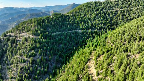 Tiny photo for Nhn Lolo Forestlands, Alberton, MT 59820 (MLS # 30073212)