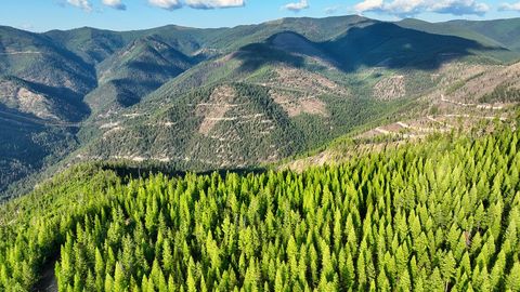 Tiny photo for Nhn Lolo Forestlands, Alberton, MT 59820 (MLS # 30073212)