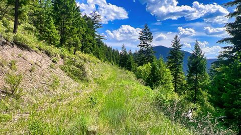 Tiny photo for Nhn Lolo Forestlands, Alberton, MT 59820 (MLS # 30073212)