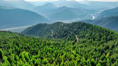 Tiny photo for Nhn Lolo Forestlands, Alberton, MT 59820 (MLS # 30073212)