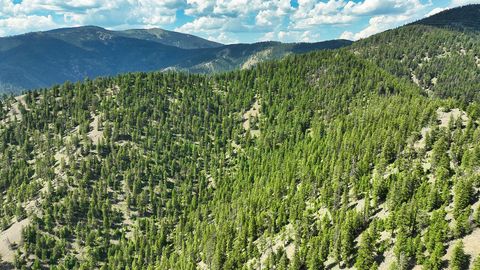 Tiny photo for Nhn Lolo Forestlands, Alberton, MT 59820 (MLS # 30073212)