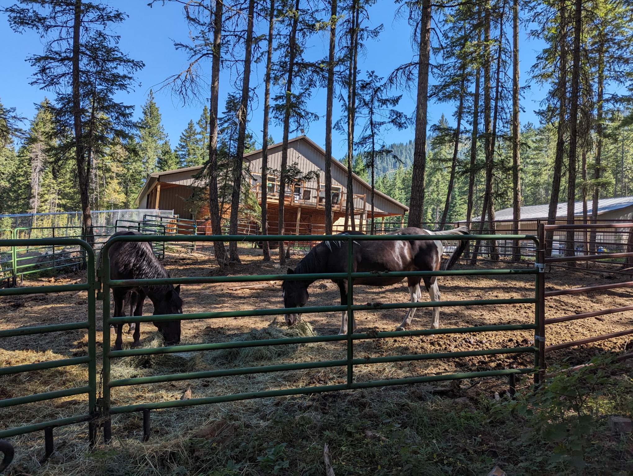 54 Red Fir Lane