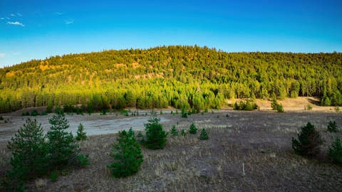 Tiny photo for 9330 US Hwy 2 W, Marion, MT 59925 (MLS # 30076755)