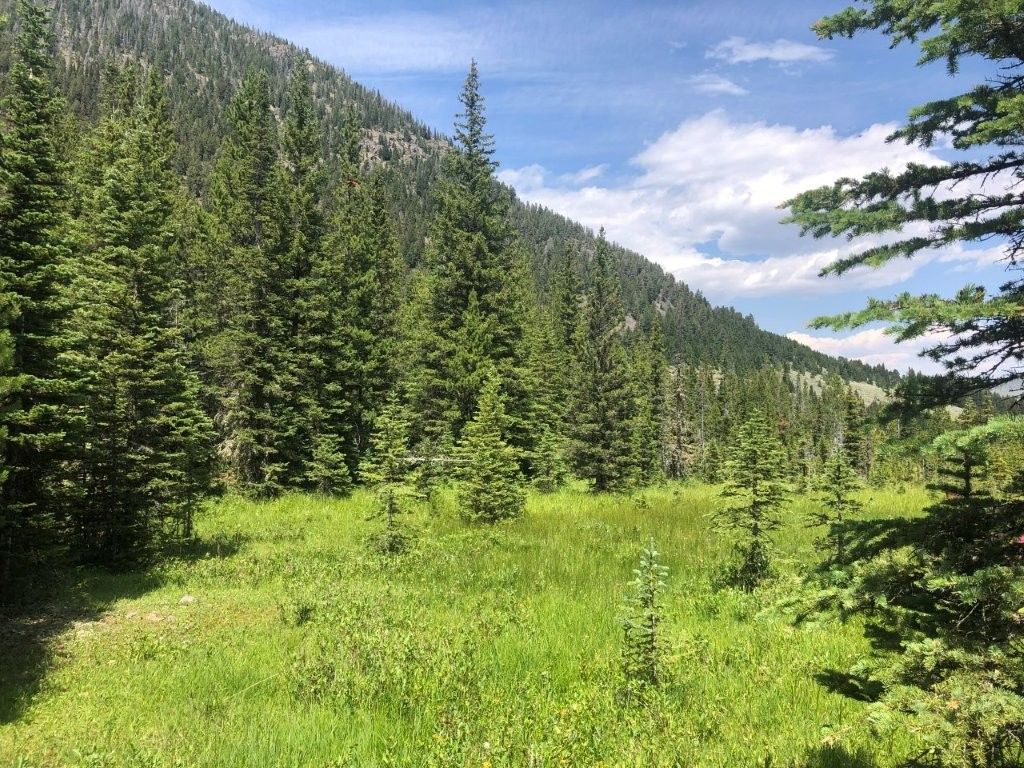 Photo of 7 S Boulder Road, Cardwell, MT 59721 (MLS # 30069777)