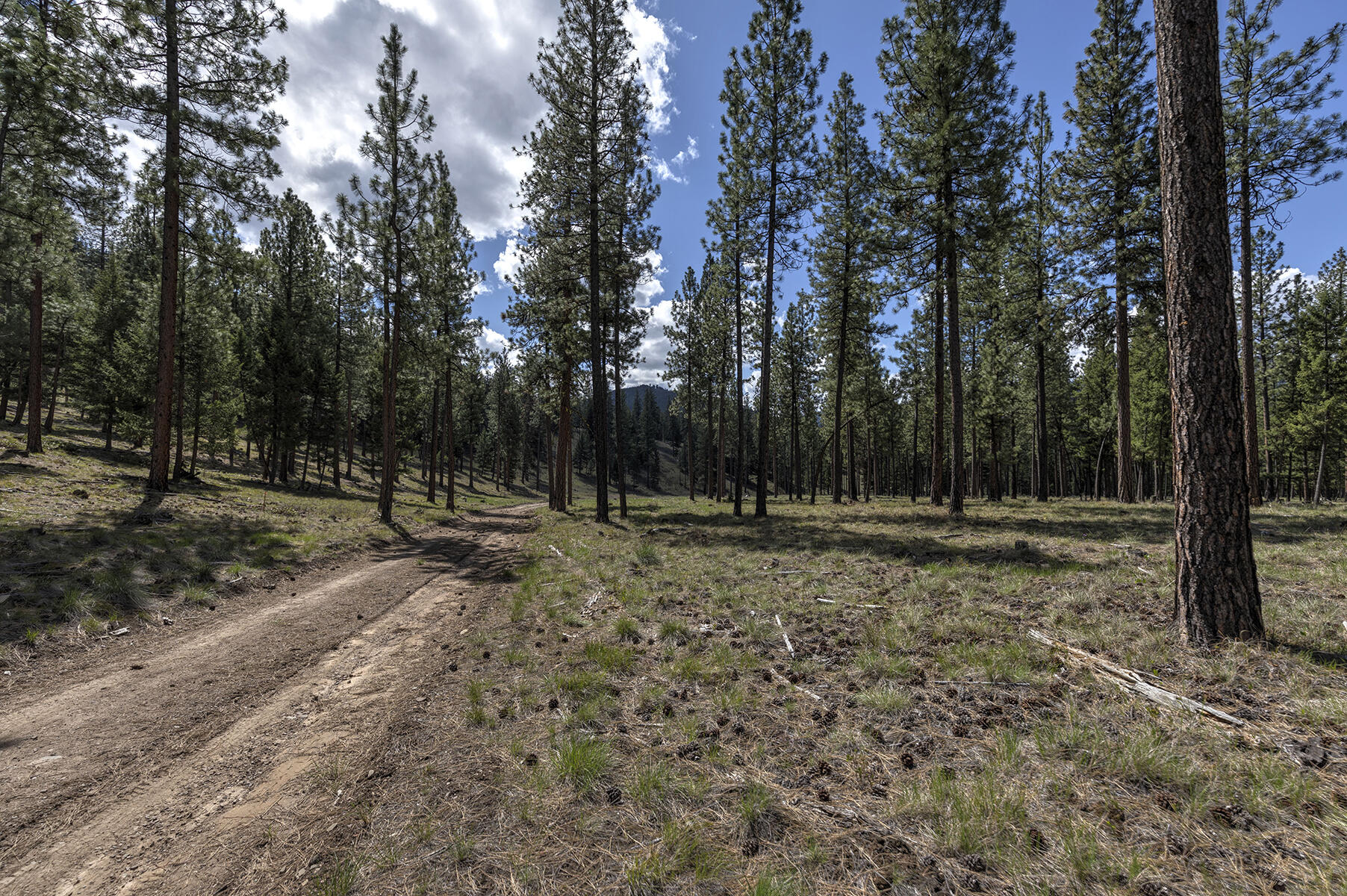 NHN Mountain Vista Lane
